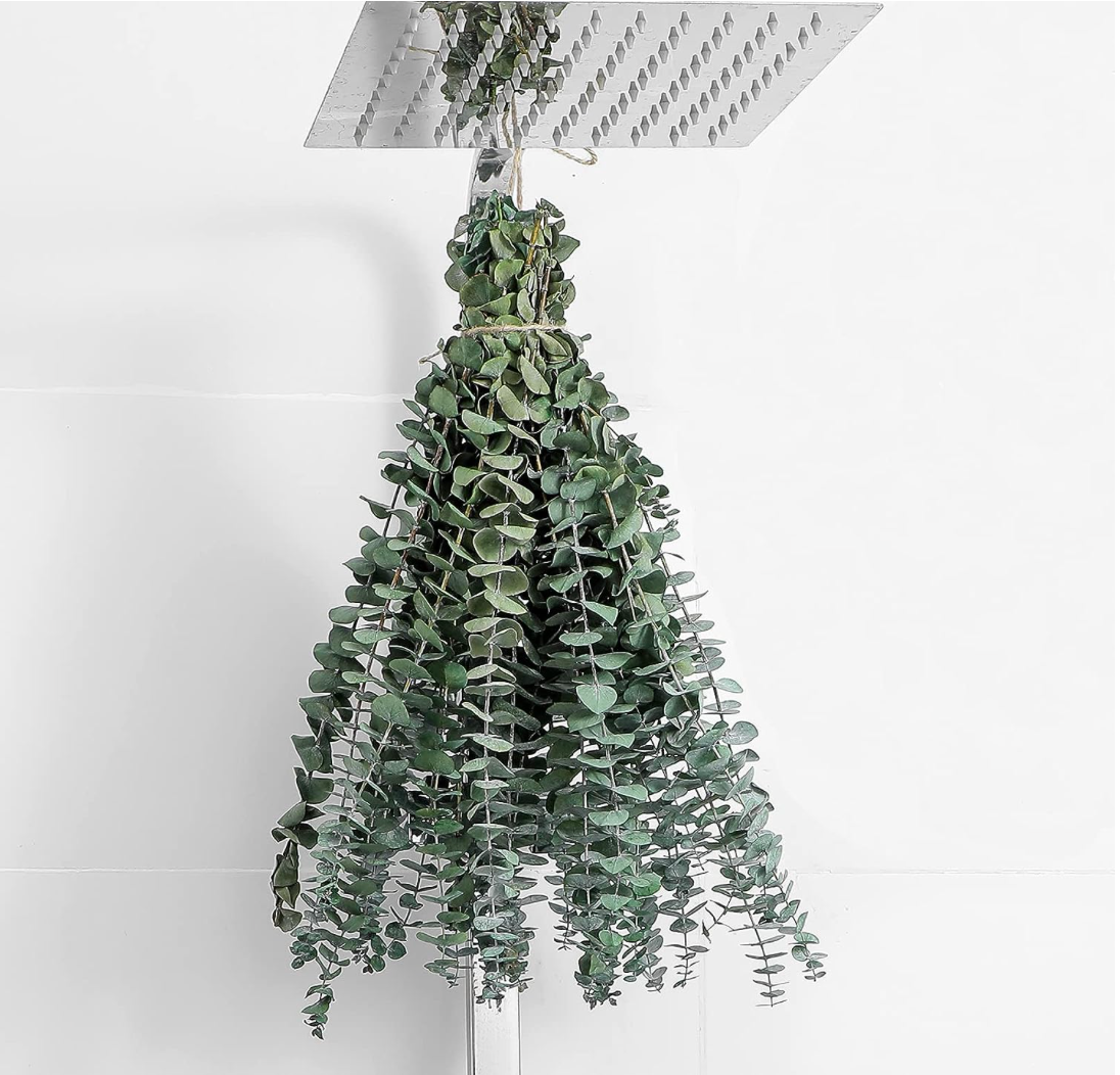 Eucalyptus Shower