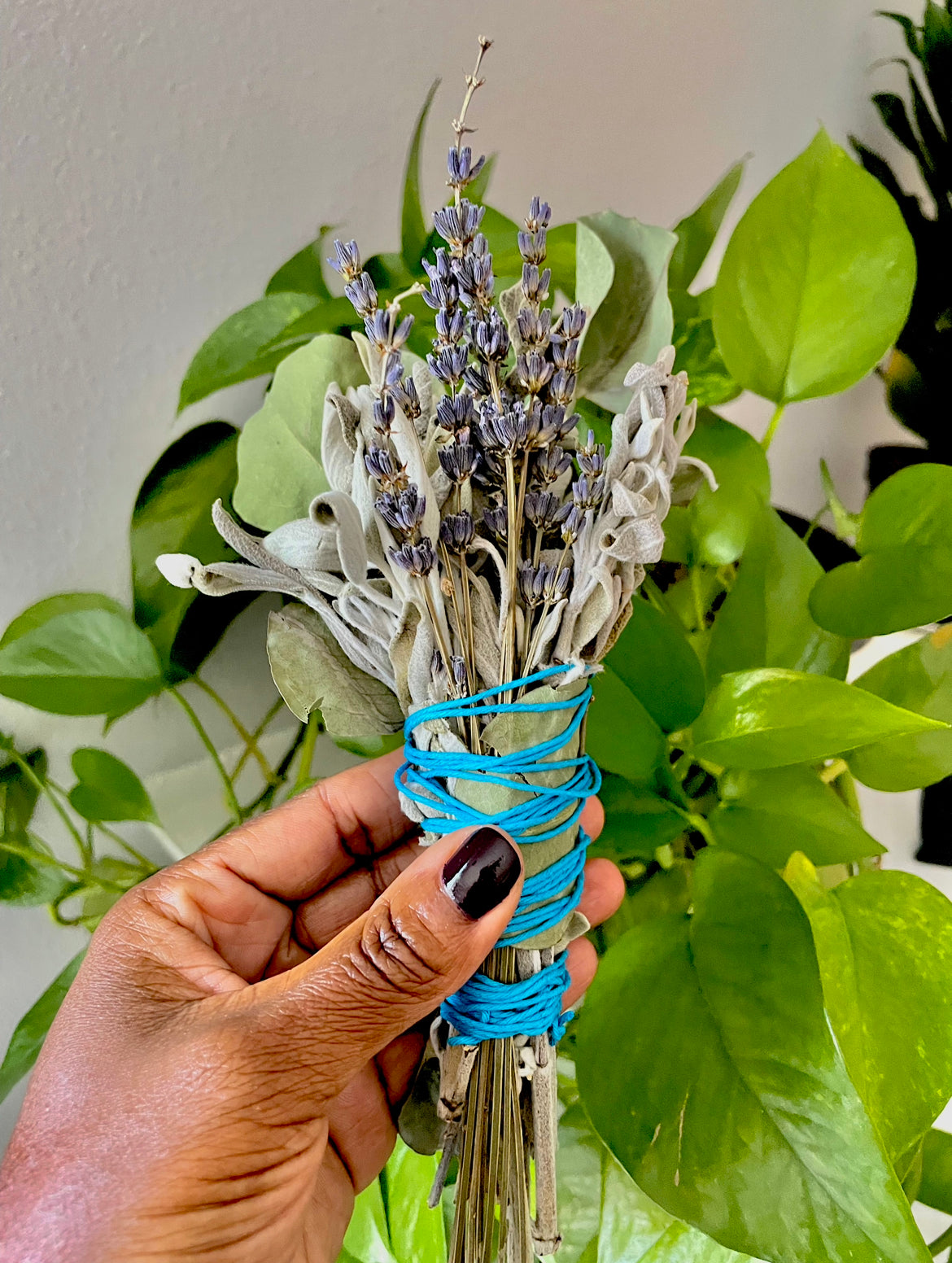 Eucalyptus Sage + Lavender