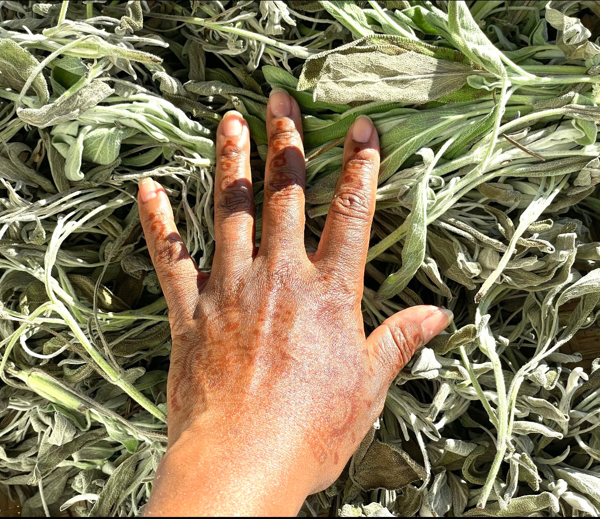 Loose Sage Mix