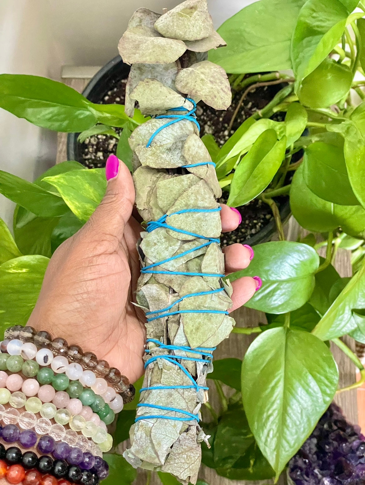 Eucalyptus Wand