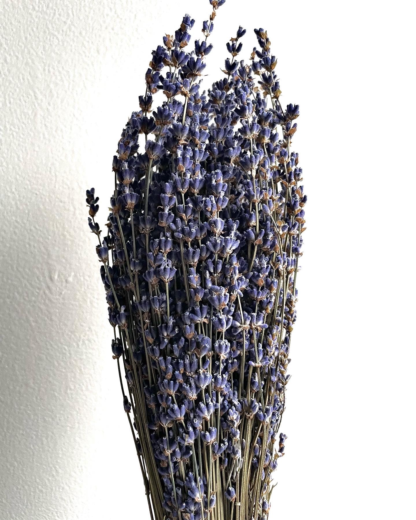 Floral Sage + Lavender + Baby's Breath