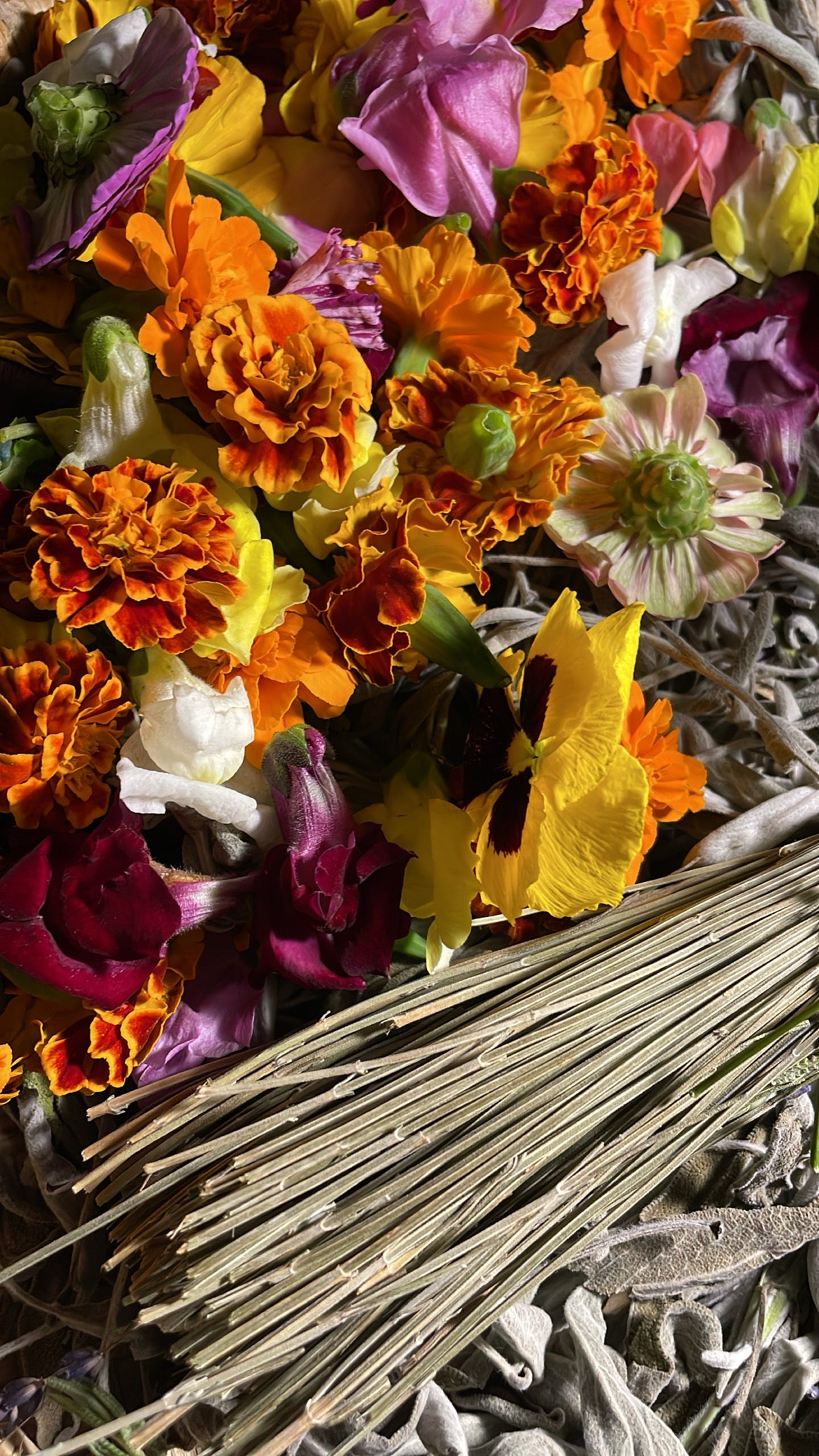 White Sage w/Orange Rose Petals