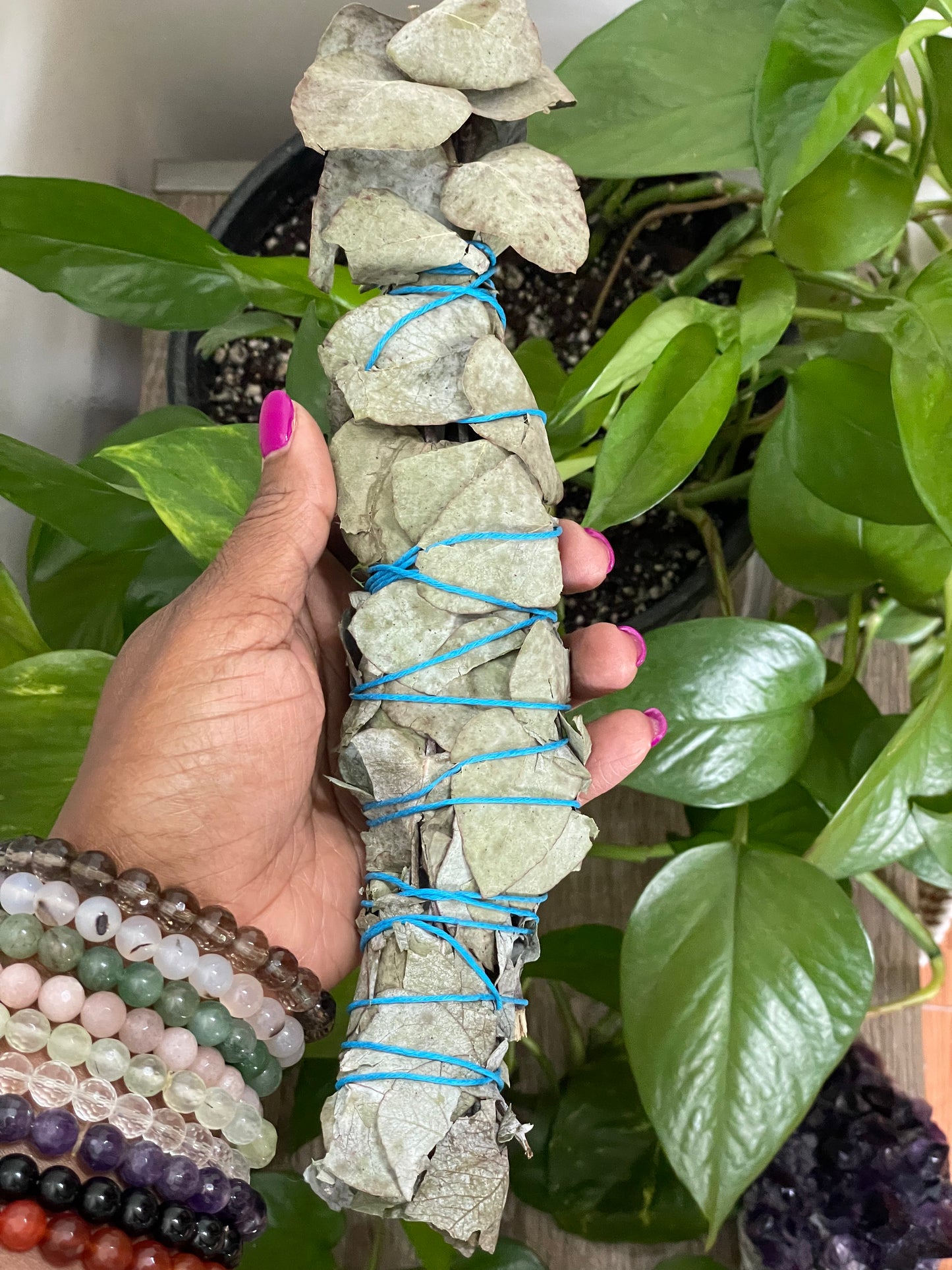 Eucalyptus Wand