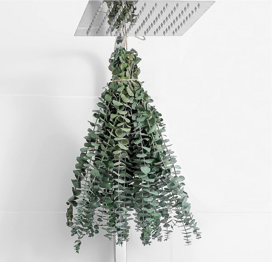 Eucalyptus Shower