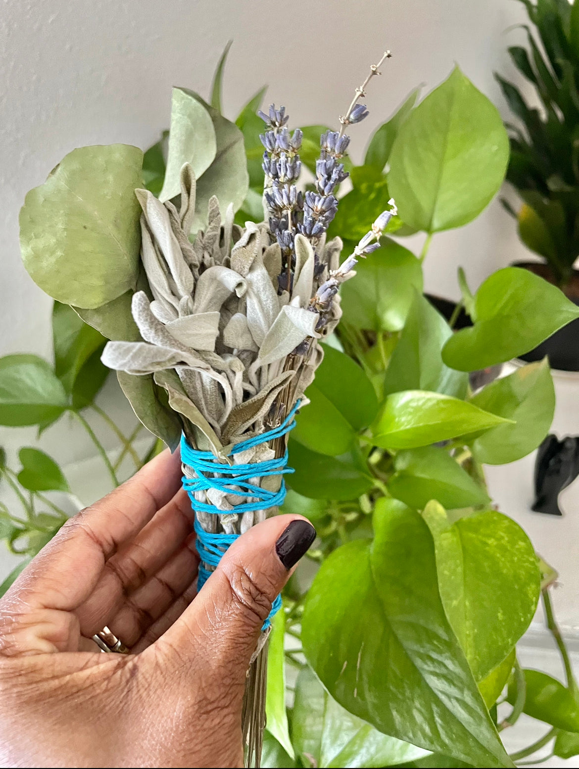 Eucalyptus Sage + Lavender