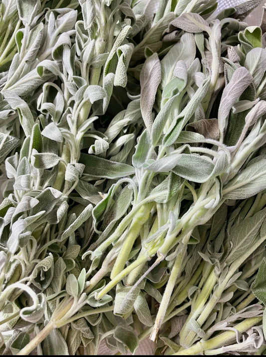 Sage + Rosemary + Lavender