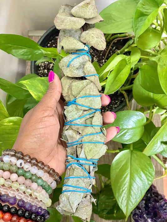 Eucalyptus Wand